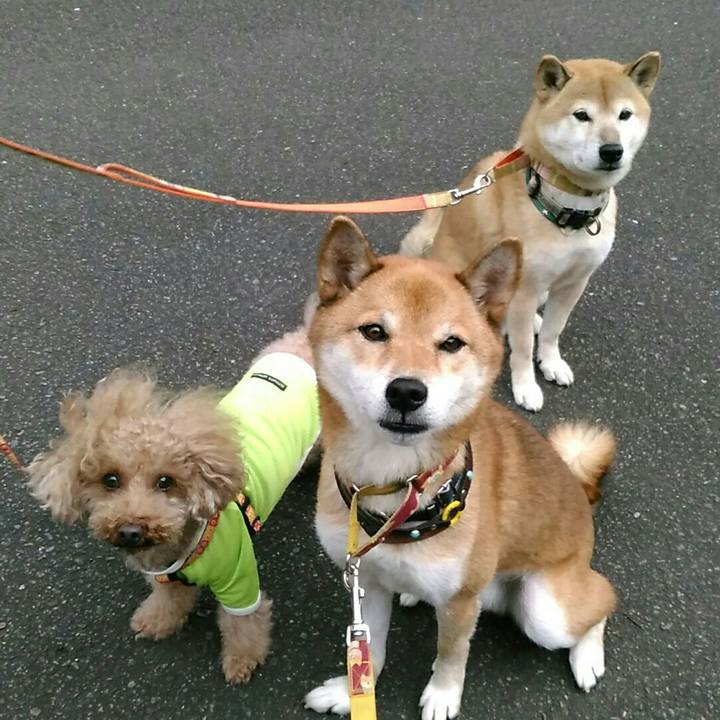 5891a893 b746 4865 b4f9 758fb8b799fa 1571127086175