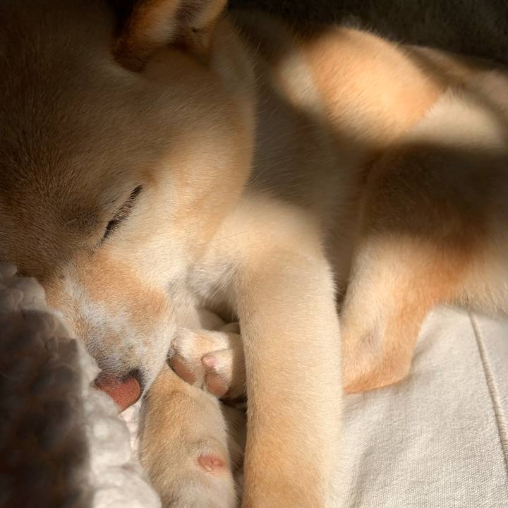 5891b024 012d 4baa a0b3 befa7154035b 1643169676035