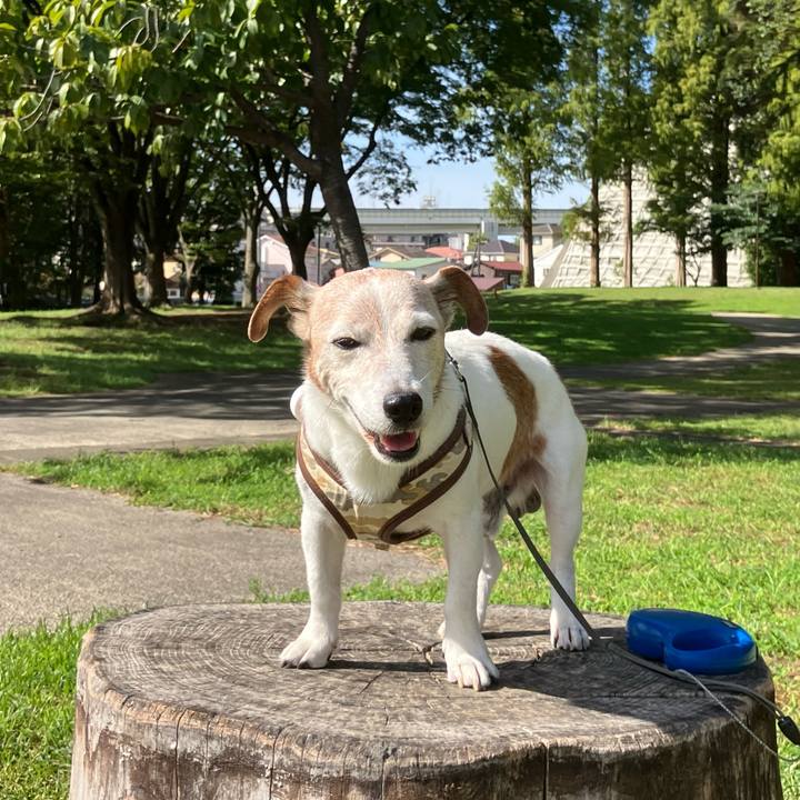 5891cd1c e713 4d41 af1f 938f8bd5a2fe 1758506054604