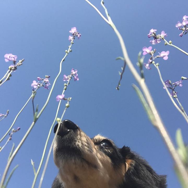 5891f30d 36cc 4b3d 804e bd5c088437bb 1524268235390