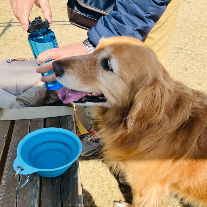 5891f56f 1585 4ee6 be67 30e75b3c26e2 1741703338317