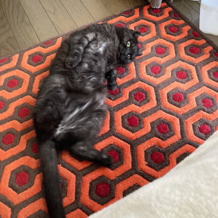 589209d5 ecae 4971 82bf 70b76b93cd4b 1589673745311