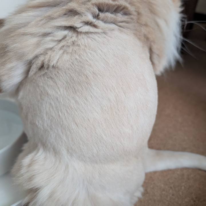 5892298a 9e4a 4fbf 8177 d250cfe35d78 1753485757822