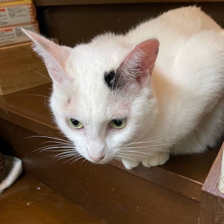 589261a3 f71c 425f ad4d 1204997e25c9 1754607210941