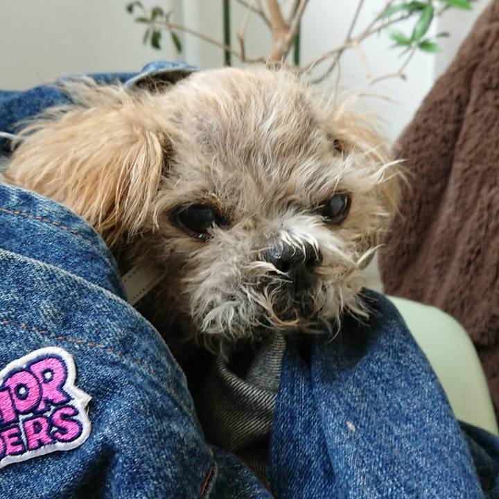 589286de 53ea 4435 9284 57e0b27d9ac2 1653532194721