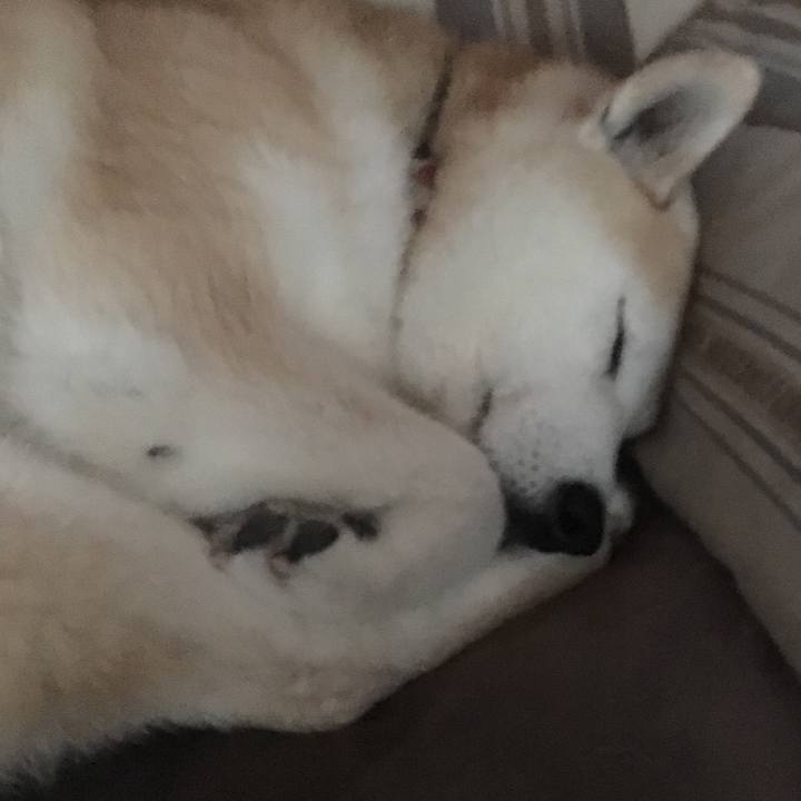 589298d1 e222 4465 8ac4 1b1daec8dbdc 1528636262079