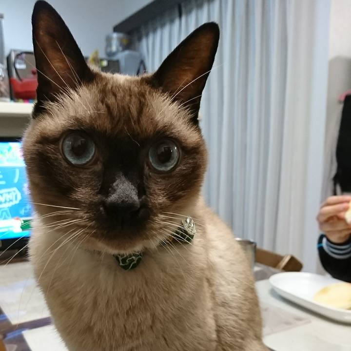 5892a4fb 7a99 451d 8131 74a810025b3c 1508884473994