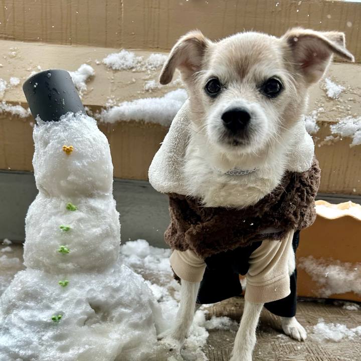 58931623 ca82 499b b23b abdf391da52d 1770524112061