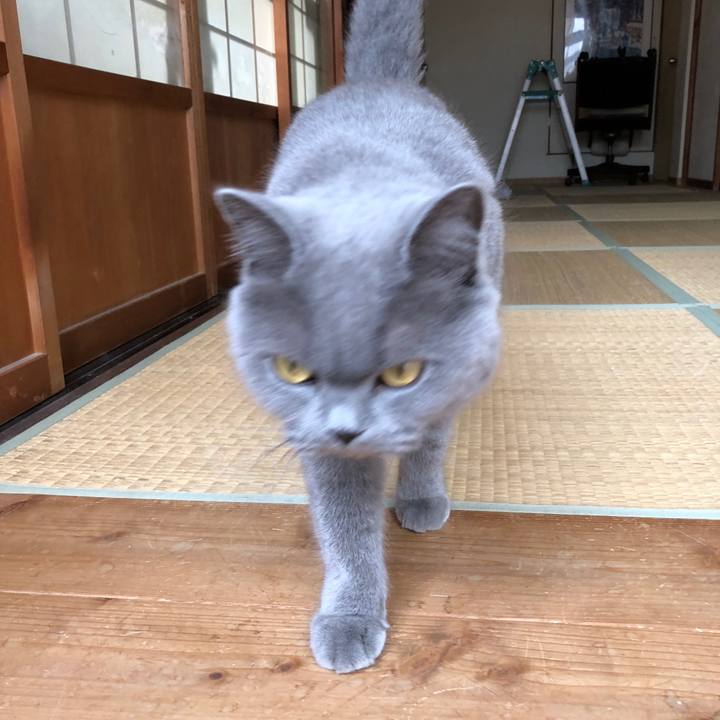 589325f3 9565 4d58 ac66 6a88d557e58f 1514873772605