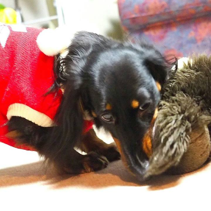 58932b3e e42b 43fc bf39 1de818af21a2 1513127071344