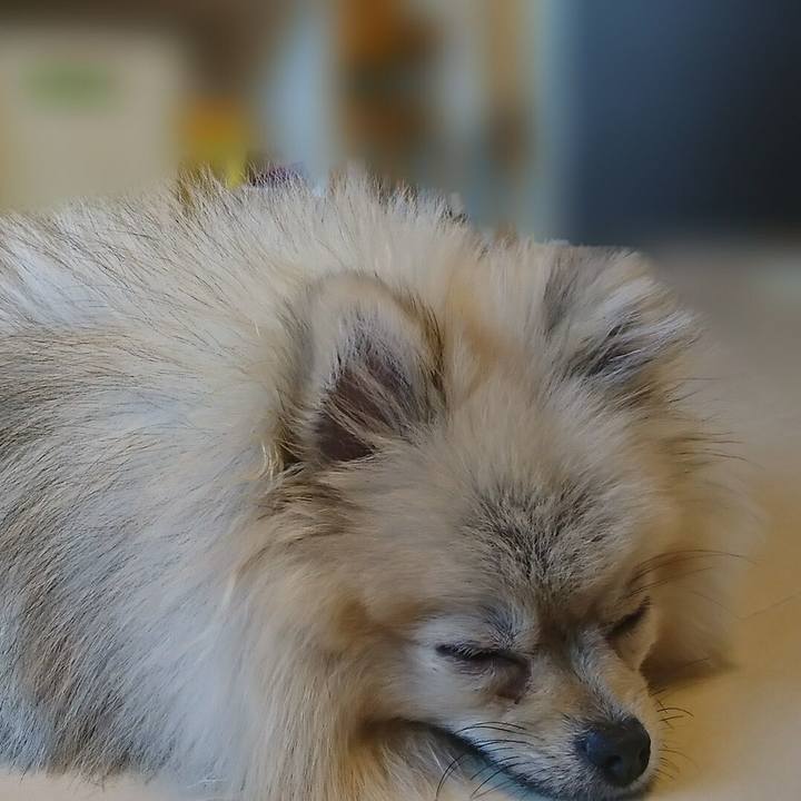 58934276 b506 4665 8fbf 32a1e565139e 1524360693121