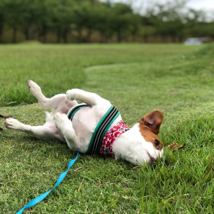 58934704 392f 47f1 a13c 8d387f185175 1595467445813