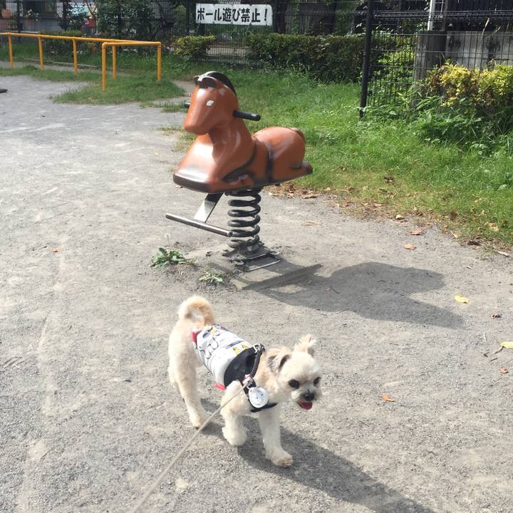 58934cf7 467f 40fe 8a57 59b4e789bed6 1532684746205