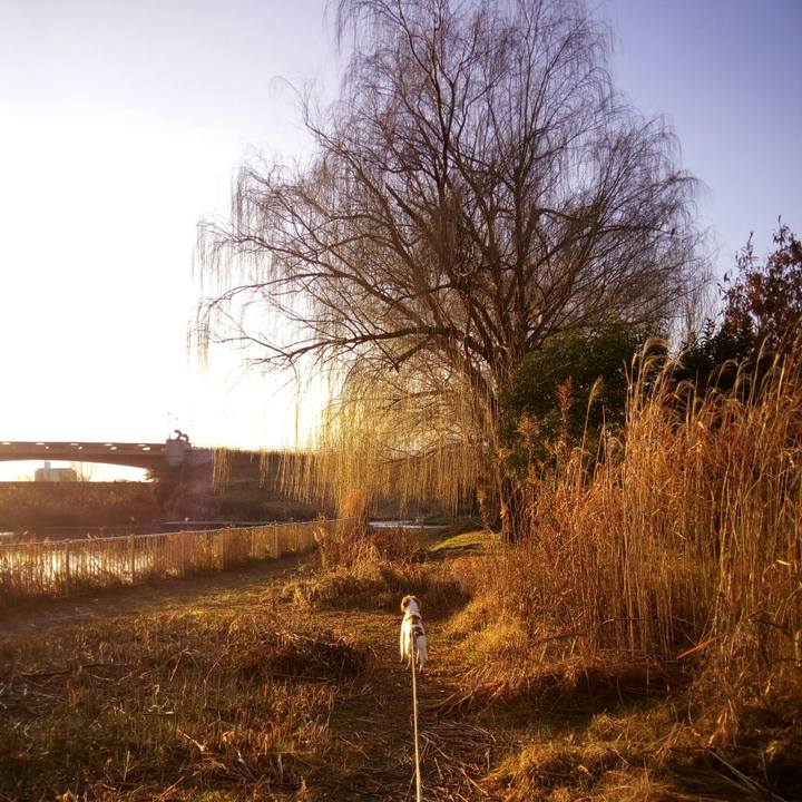 58935f90 fc2e 40dd b084 1d3167c21bf8 1515152016934