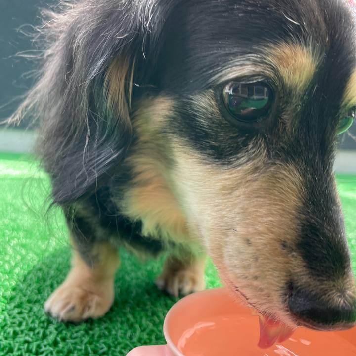 5893691e 950f 4aa1 9a3a 2585622296db 1655084012553