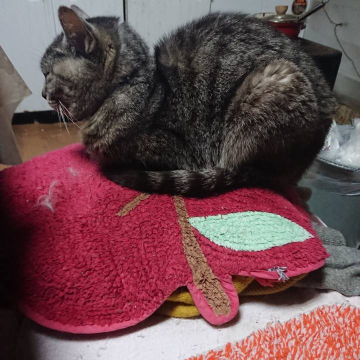 5893e7d7 b804 4b6e adae 988f9bb9b859 1555532687610