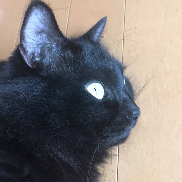 58945029 a616 4cf9 bd0e 490895c5934a 1571806902771