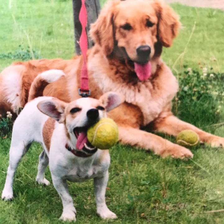 58947b62 8d8f 478a 88c5 78ba48f23f26 1542334921707