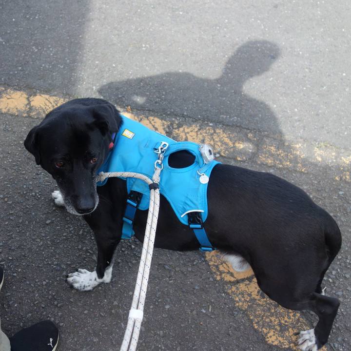 5894a92d 10f9 4b08 86fc b56d44826fb2 1685237308531