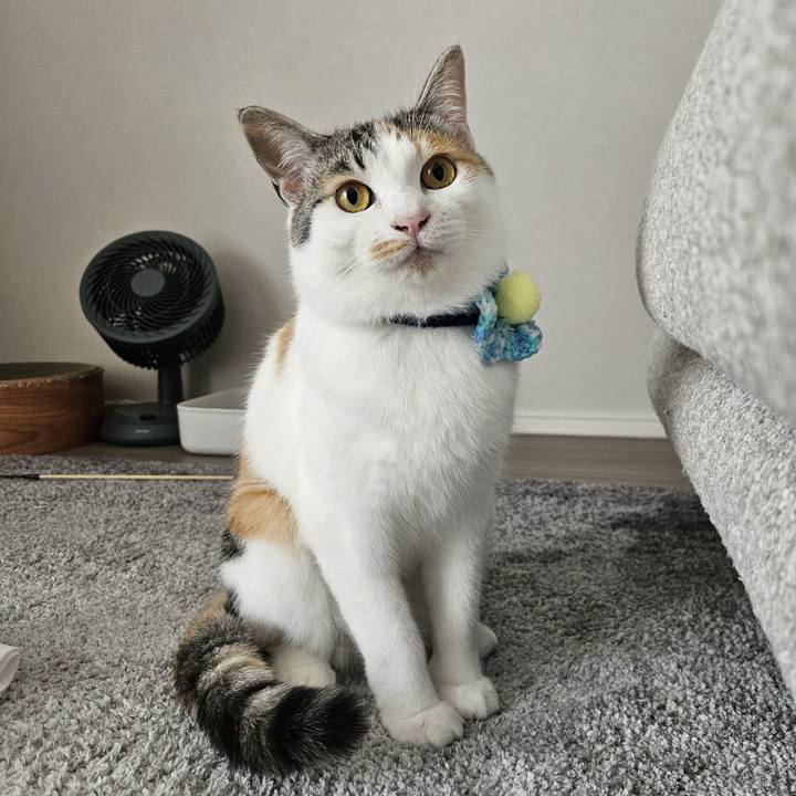 5894cf92 e347 4b66 b953 a93f3cb2b95f 1759121888861