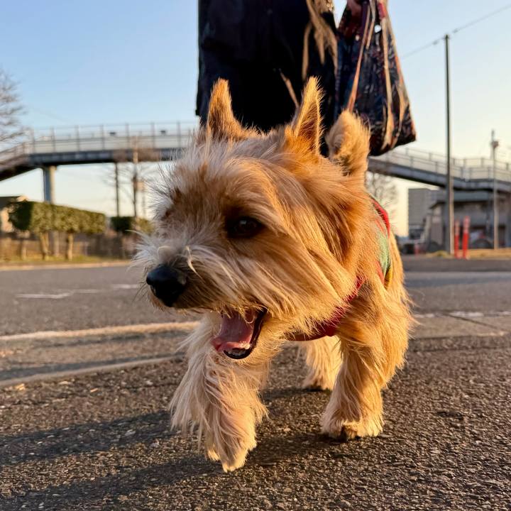 5894d823 1008 4c17 8d62 87804eb66ce5 1768769458649