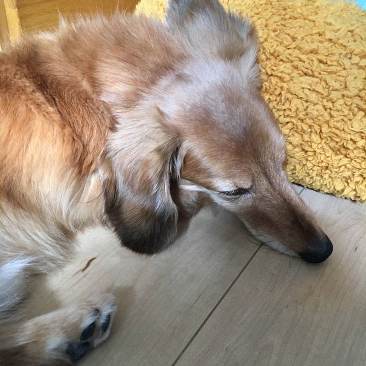 5894e15f 76eb 49b6 972d b82f1ef0eeda 1630154338963