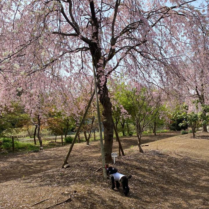 5894f00d 05b7 4e5e 96b0 1fe53be69d79 1617318830963