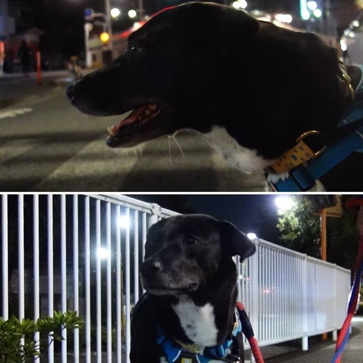 5894f1eb 4075 453f b7e1 9b2fbc3476e7 1634554615512