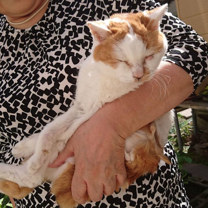 5895022d d020 46c2 81cb 3b61656ac0c9 1695439316318