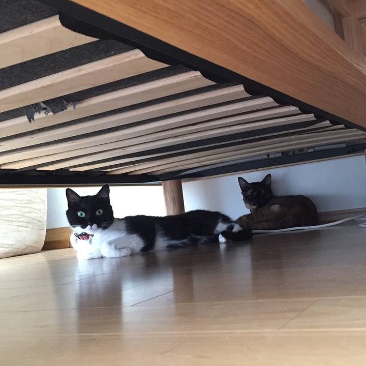 5895387b 26b8 4aa2 a699 fdf2cea32b5b 1532873321353