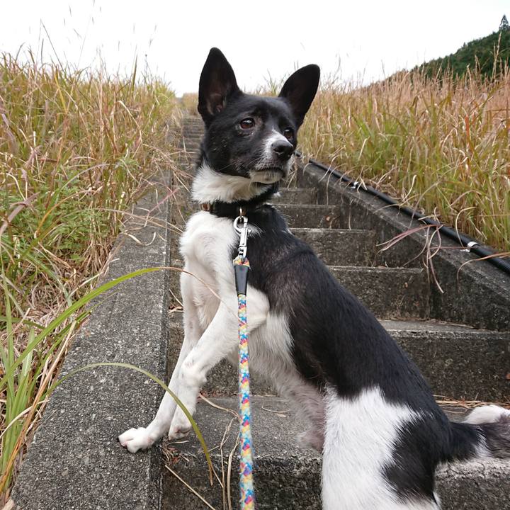 5895419e d953 4121 bbbf 30f77cdebd21 1511152837790