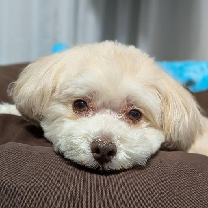 58954ade cc72 4dfc aa66 e5a5d7bc3155 1770809211261