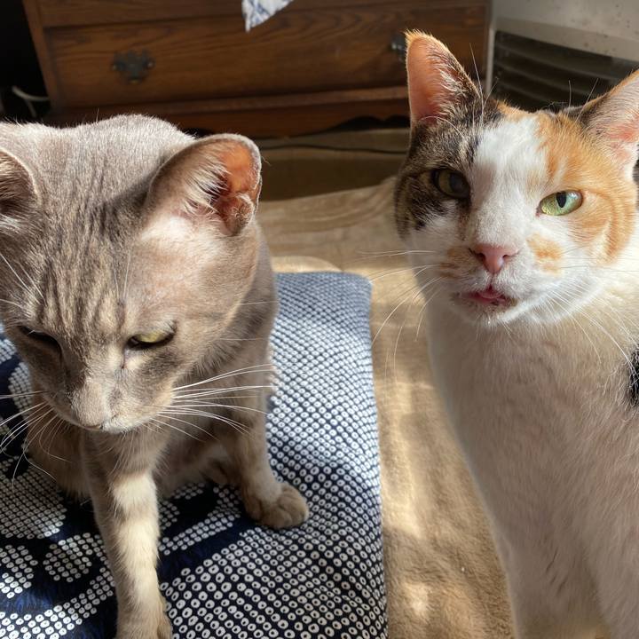 58956528 849f 4ee7 97f9 4851c95c5cb3 1579571467793