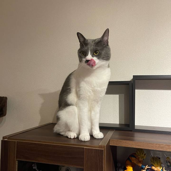 5895bbcf 60ef 4c65 af76 cc763669f923 1666180228057