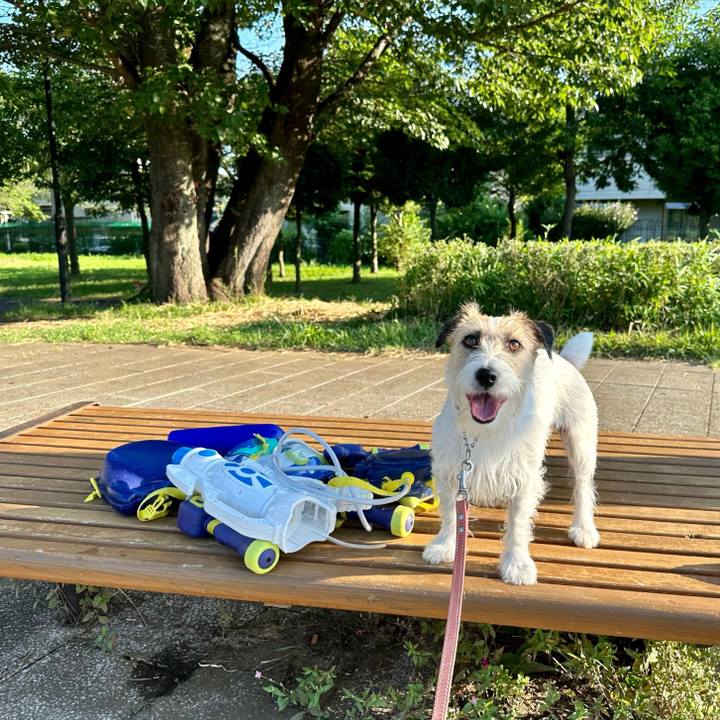 5895cb19 a581 4a37 ac14 364b070ac7a2 1689073380596