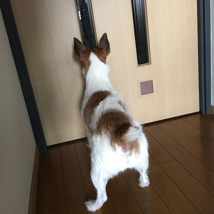 5895da27 5d2e 478d 8f0c 1c4e8569e1f0 1558997043470