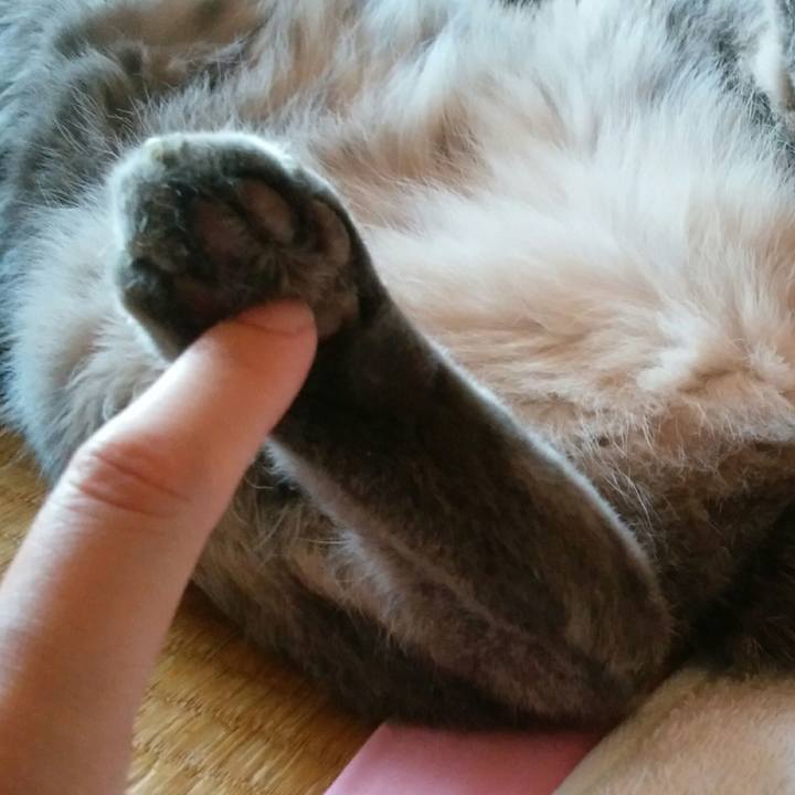 5895df4a 5857 4301 9d83 b69caabf6a79 1569116953244