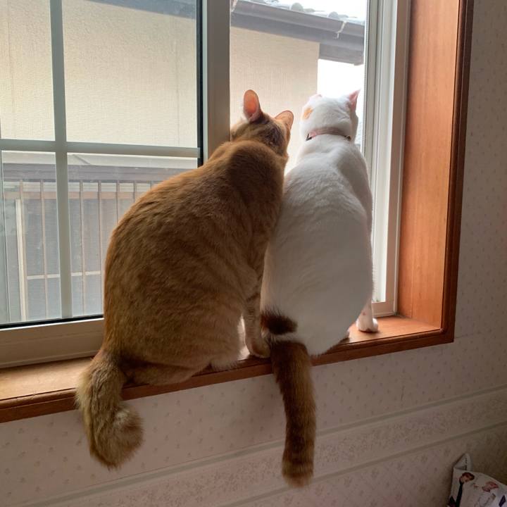 5895dfe8 9614 4aff 94af b4c95dbdc9ae 1567721669678