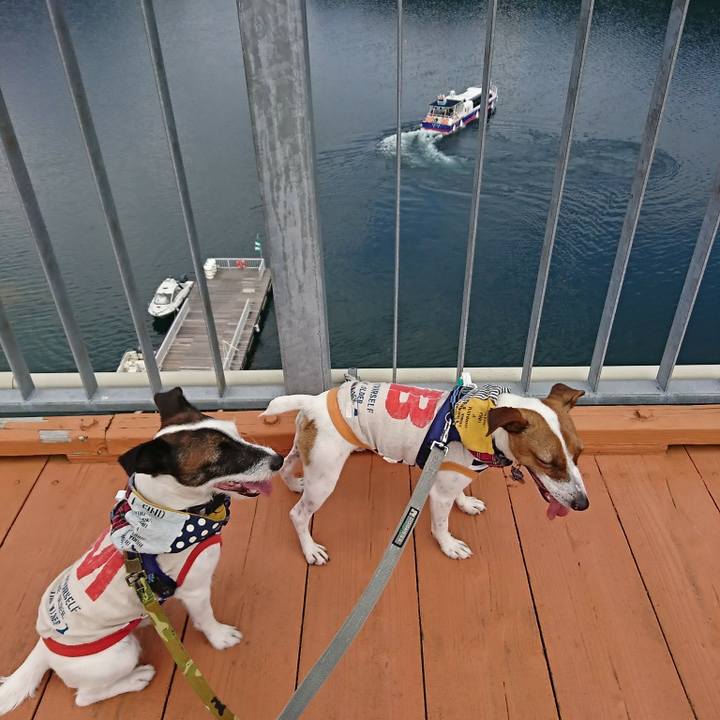 58963eaa 0b9b 4084 8a4c 9b95c87d0fcd 1537762091573