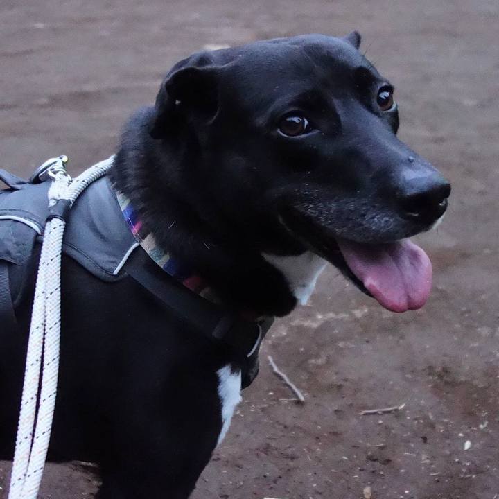 5896502d ef8c 469d 82ba 4a25f6ad0428 1654772689693