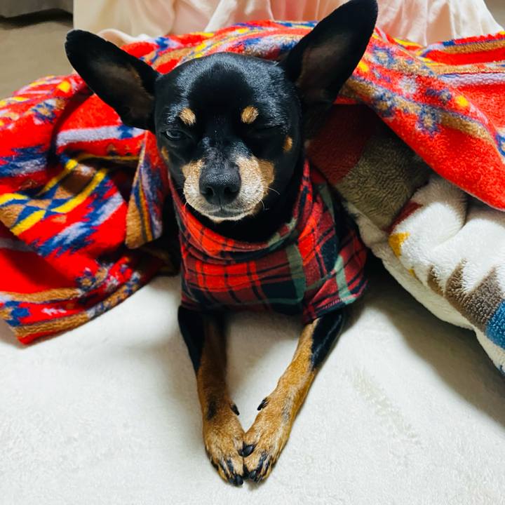 5896d27b 7ec8 4739 a0ff bf825bc101b8 1735644982557