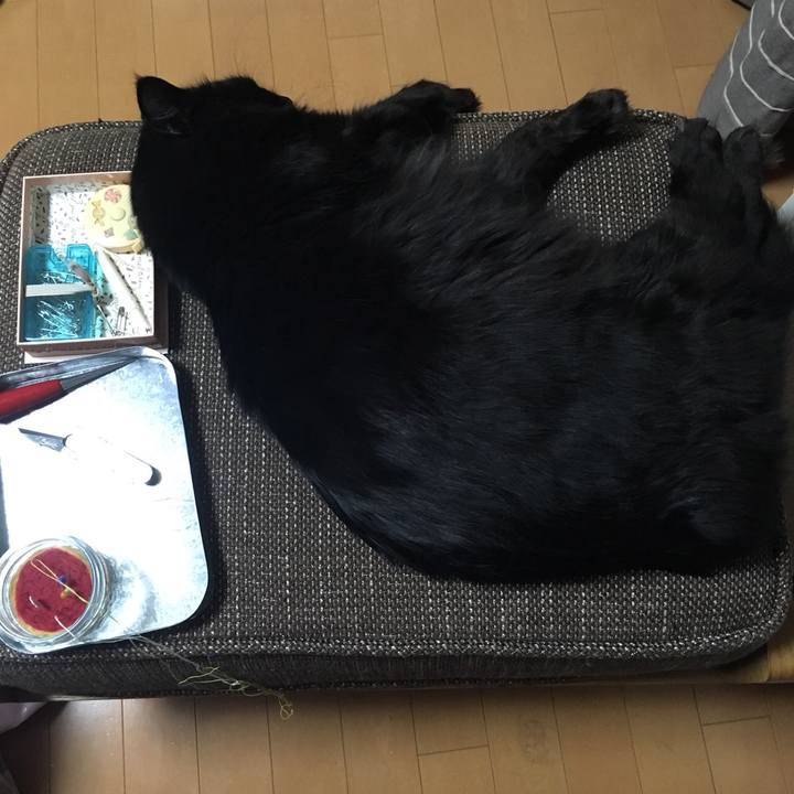 5896ed31 7416 4403 95d8 e35103e88c01 1522250334229