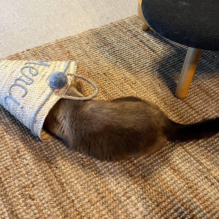 5897341b 4697 4b6e a00f a96c8d8d63ad 1690504374518