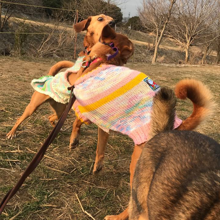 58973797 e622 41db 8e65 0001a1b369e3 1518775175077