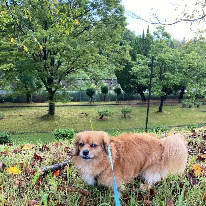 58973b85 6cb1 43b8 9353 c8dfa19df0db 1599169111141