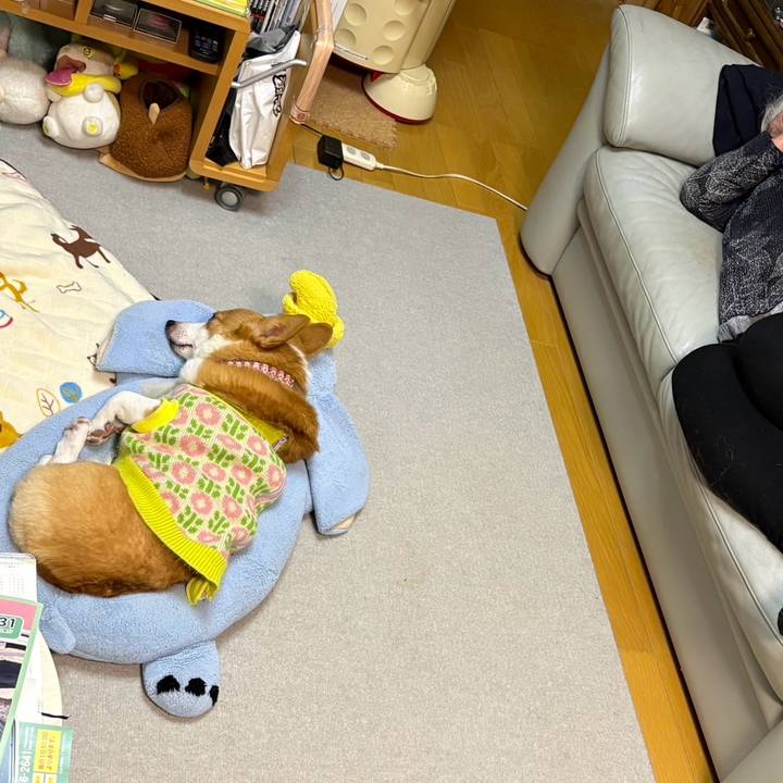 58973dfb a0df 4ca0 a85e 8d5dd6951297 1769950223687