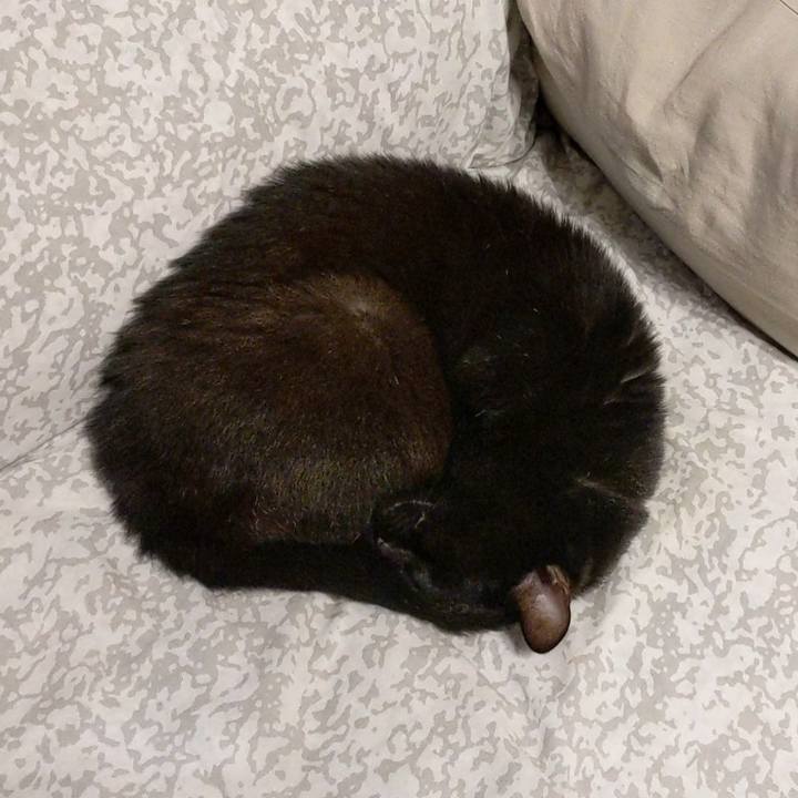 589751a9 ac6a 44b3 8383 2853f5b86725 1760828323033