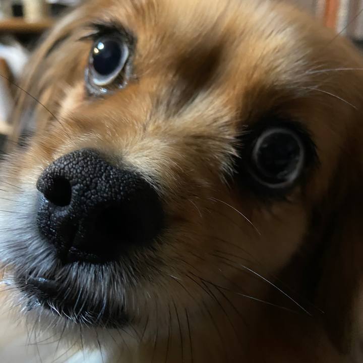 58975afa 073a 4ef3 b7cc 5c3b55b9ce0a 1639518296047