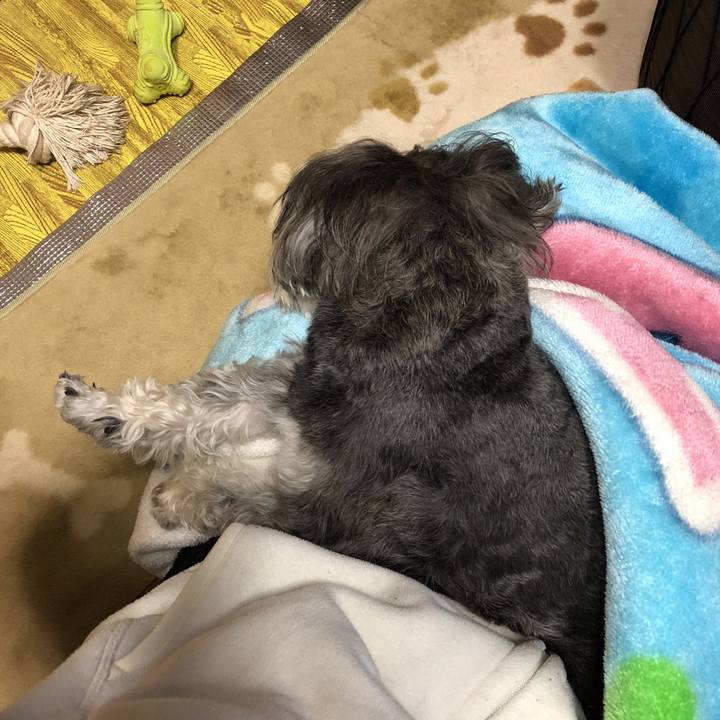 589765f0 4b14 417d bc12 7d7a454f99ed 1521196210687