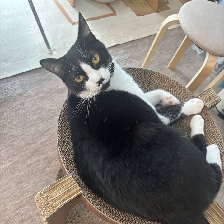 589775db 8384 4fb2 adfe abdb0346ec31 1759288136410